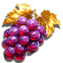 Grape